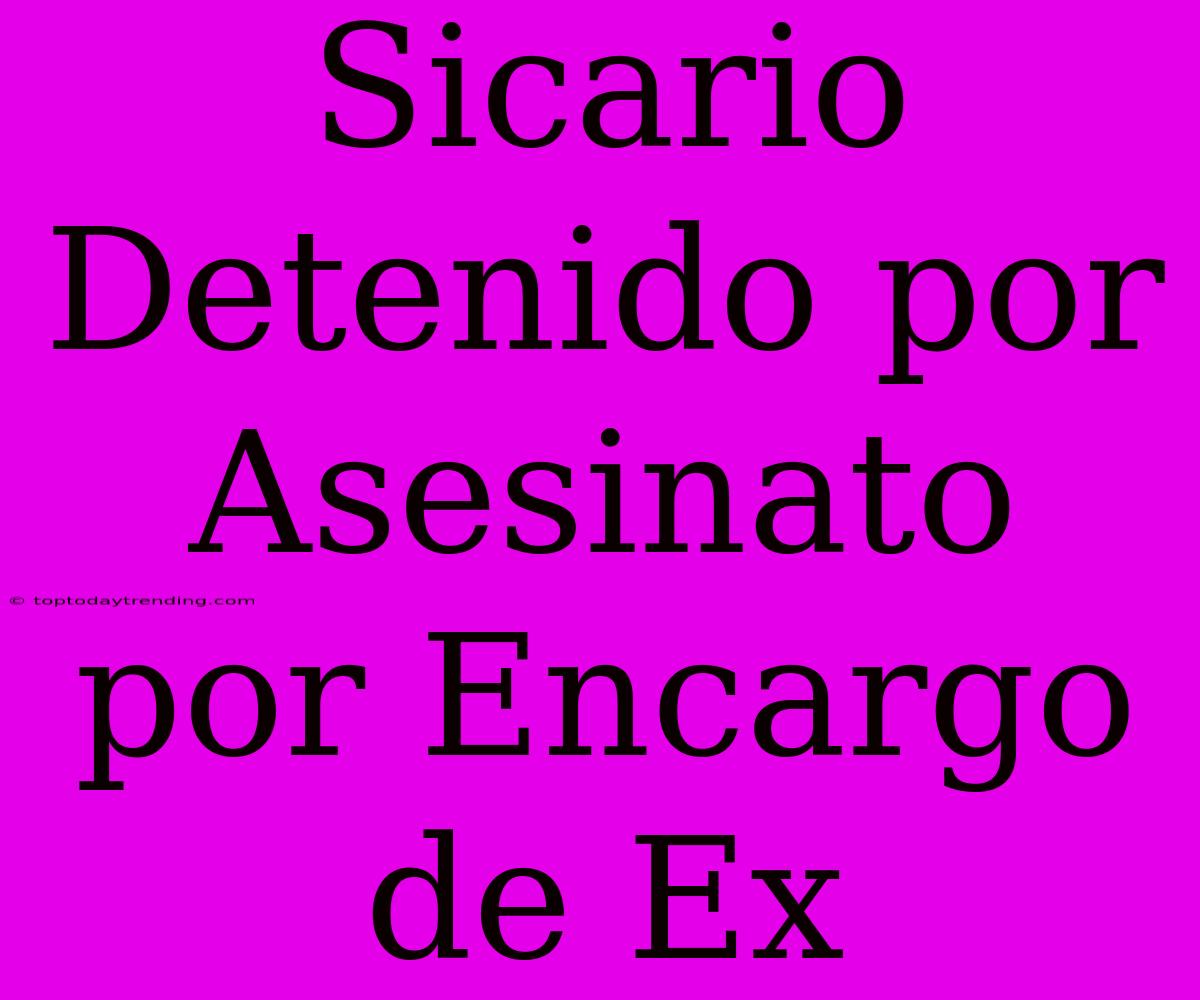 Sicario Detenido Por Asesinato Por Encargo De Ex