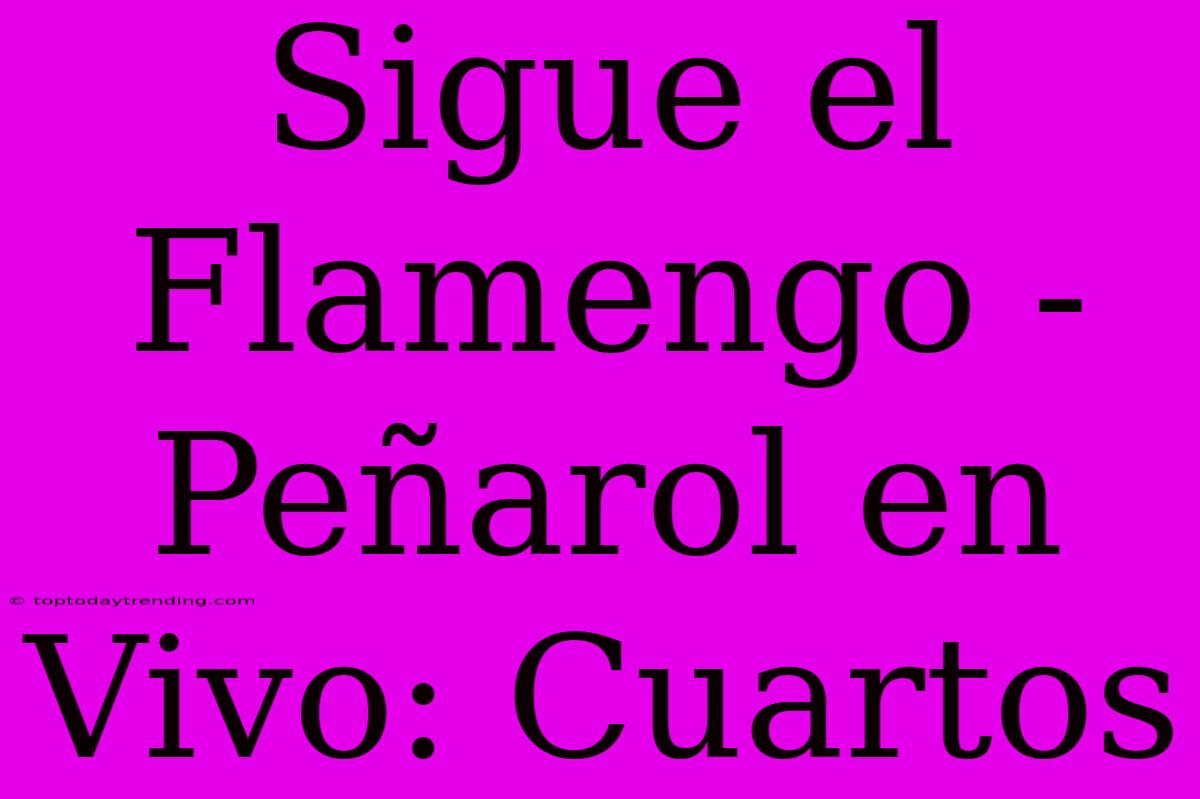 Sigue El Flamengo - Peñarol En Vivo: Cuartos