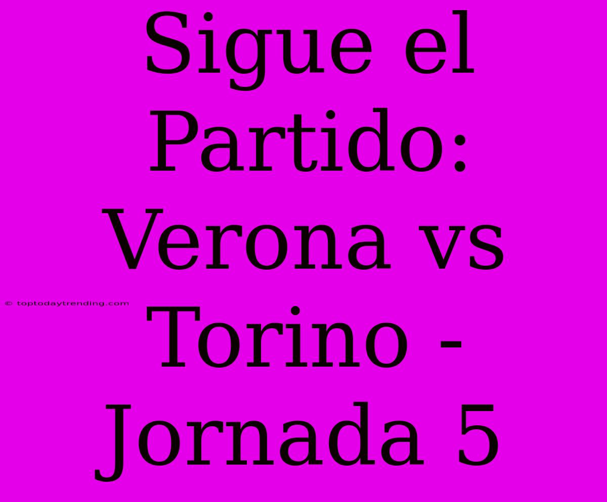 Sigue El Partido: Verona Vs Torino - Jornada 5