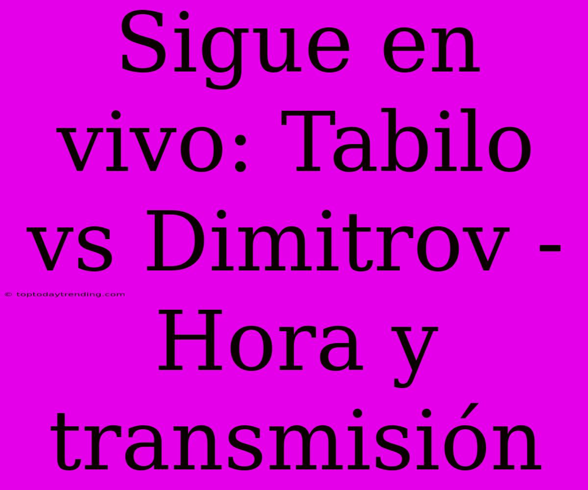 Sigue En Vivo: Tabilo Vs Dimitrov - Hora Y Transmisión