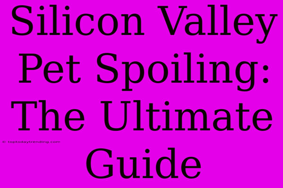 Silicon Valley Pet Spoiling: The Ultimate Guide