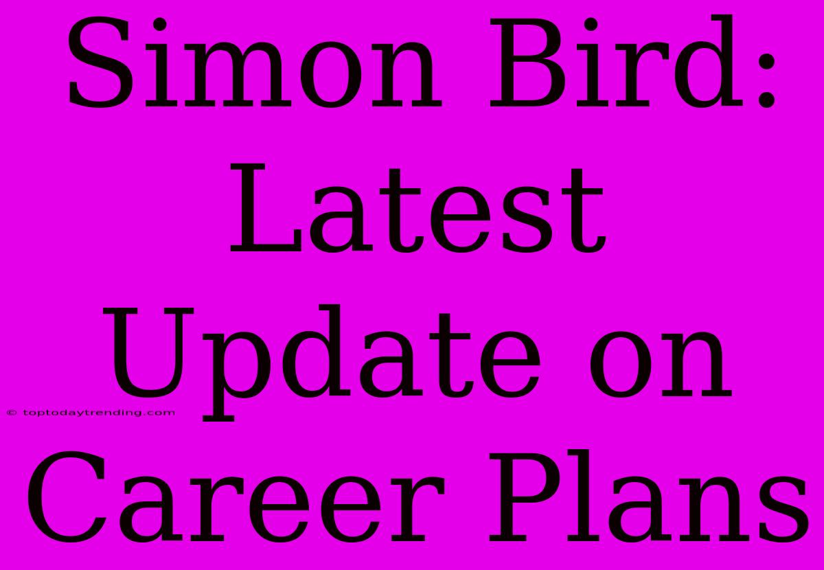 Simon Bird: Latest Update On Career Plans