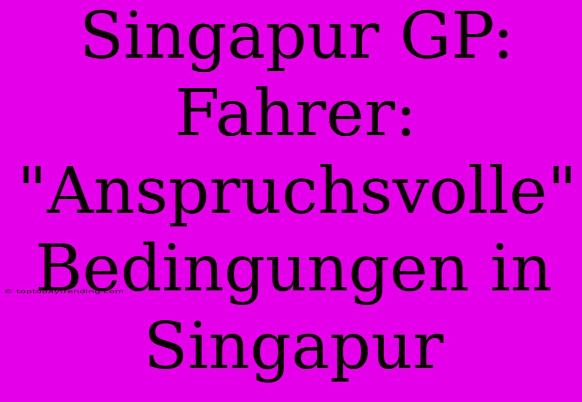 Singapur GP: Fahrer: 