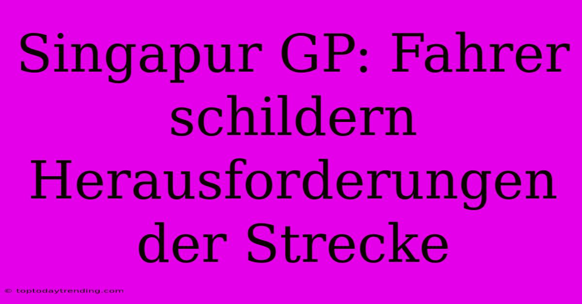 Singapur GP: Fahrer Schildern Herausforderungen Der Strecke