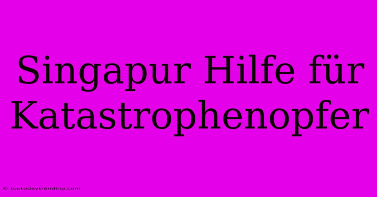 Singapur Hilfe Für Katastrophenopfer