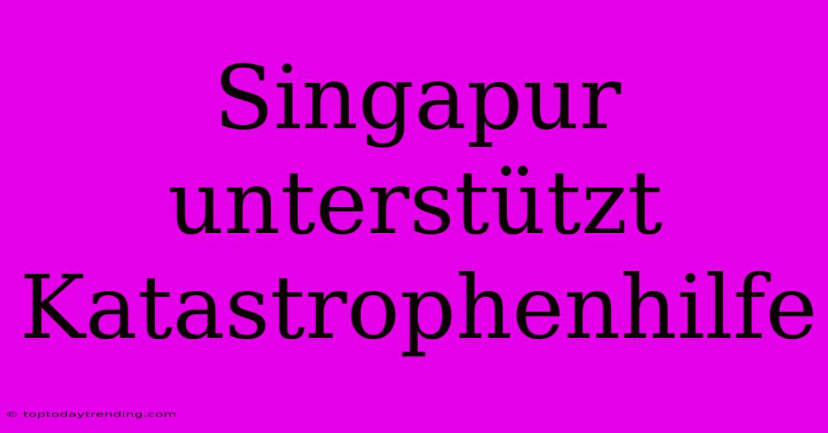 Singapur Unterstützt Katastrophenhilfe