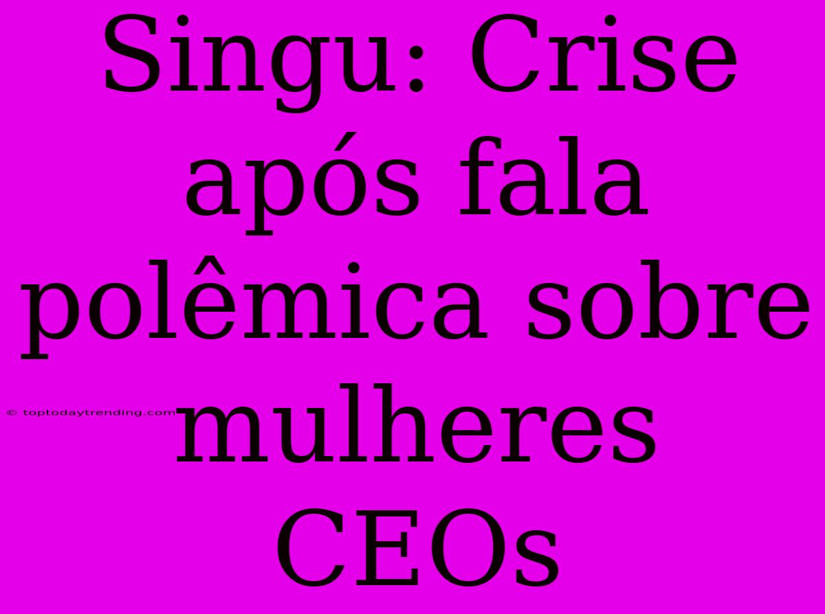 Singu: Crise Após Fala Polêmica Sobre Mulheres CEOs