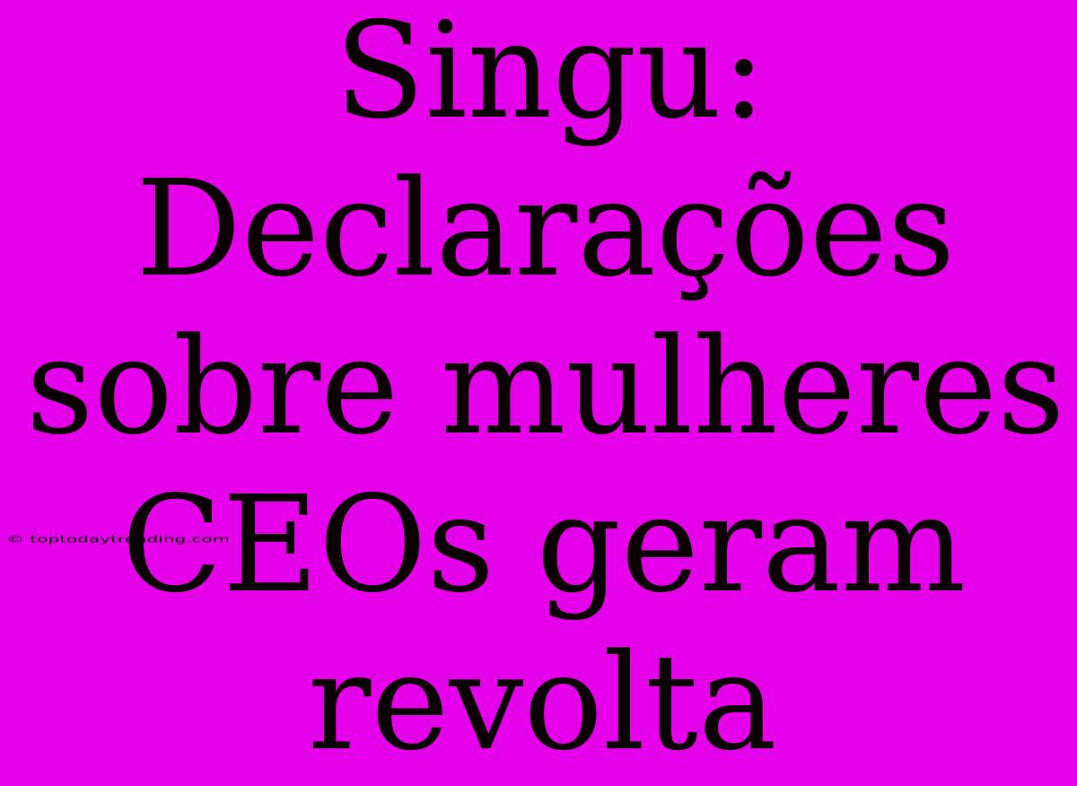 Singu: Declarações Sobre Mulheres CEOs Geram Revolta