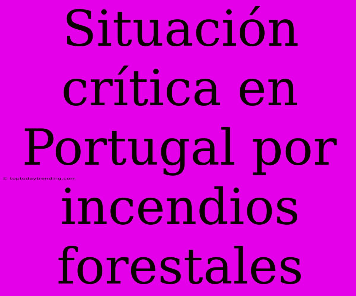 Situación Crítica En Portugal Por Incendios Forestales