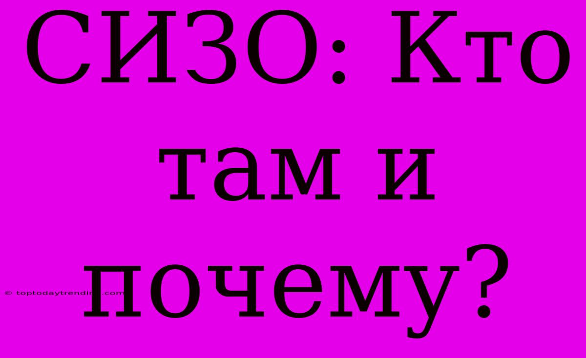 СИЗО: Кто Там И Почему?