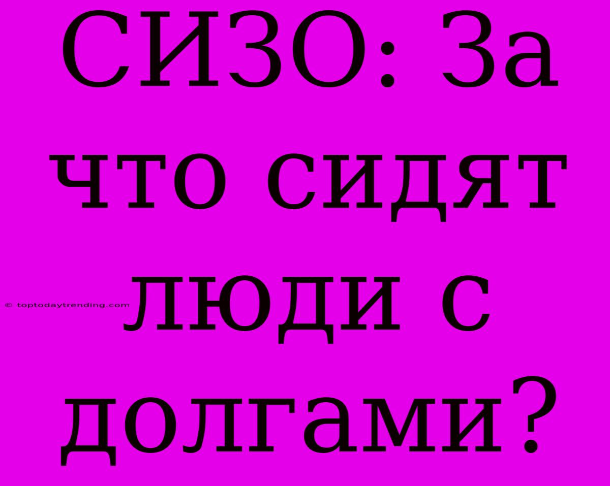 СИЗО: За Что Сидят Люди С Долгами?