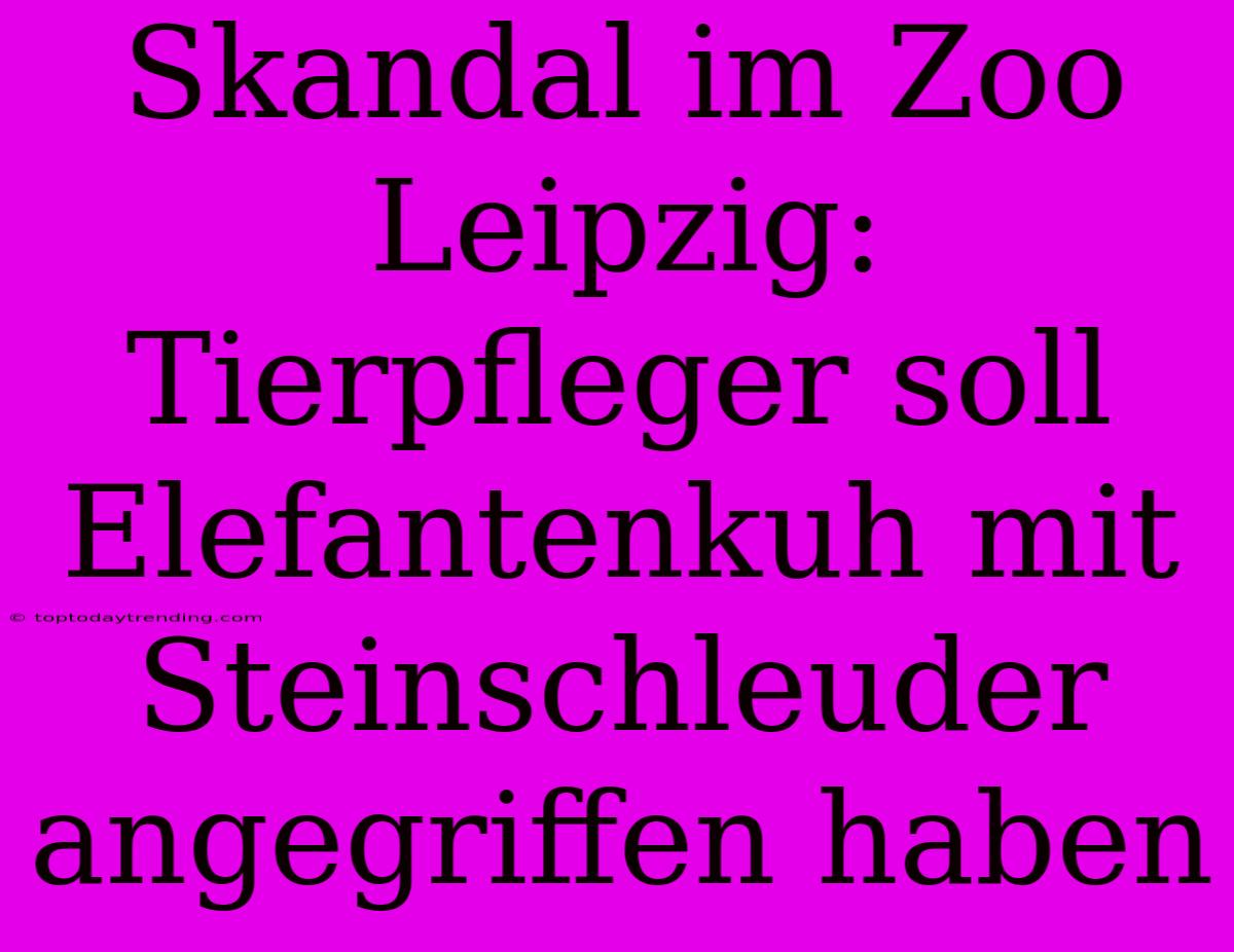 Skandal Im Zoo Leipzig: Tierpfleger Soll Elefantenkuh Mit Steinschleuder Angegriffen Haben