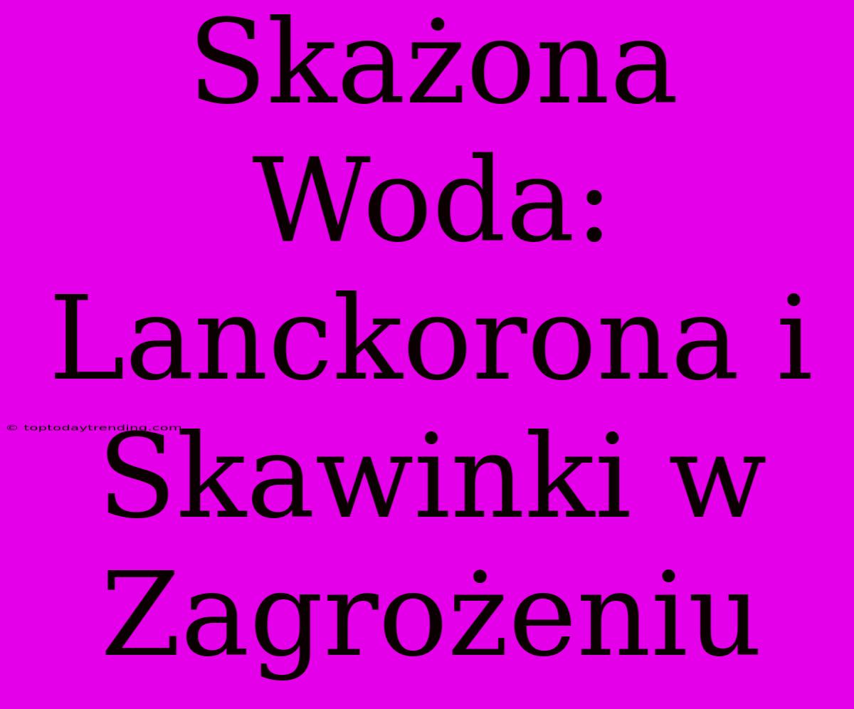 Skażona Woda: Lanckorona I Skawinki W Zagrożeniu