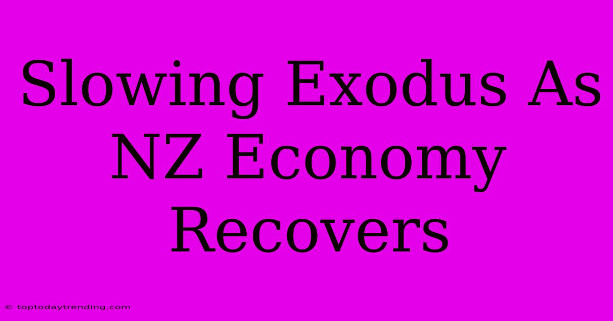 Slowing Exodus As NZ Economy Recovers