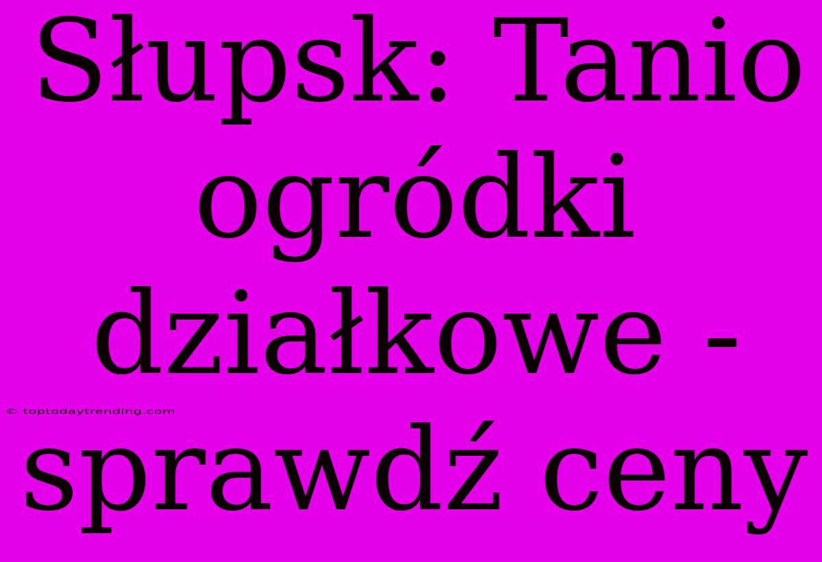 Słupsk: Tanio Ogródki Działkowe - Sprawdź Ceny