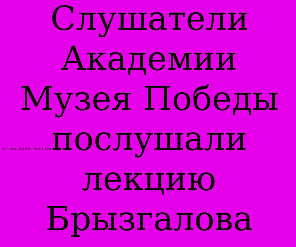 Слушатели Академии Музея Победы Послушали Лекцию Брызгалова