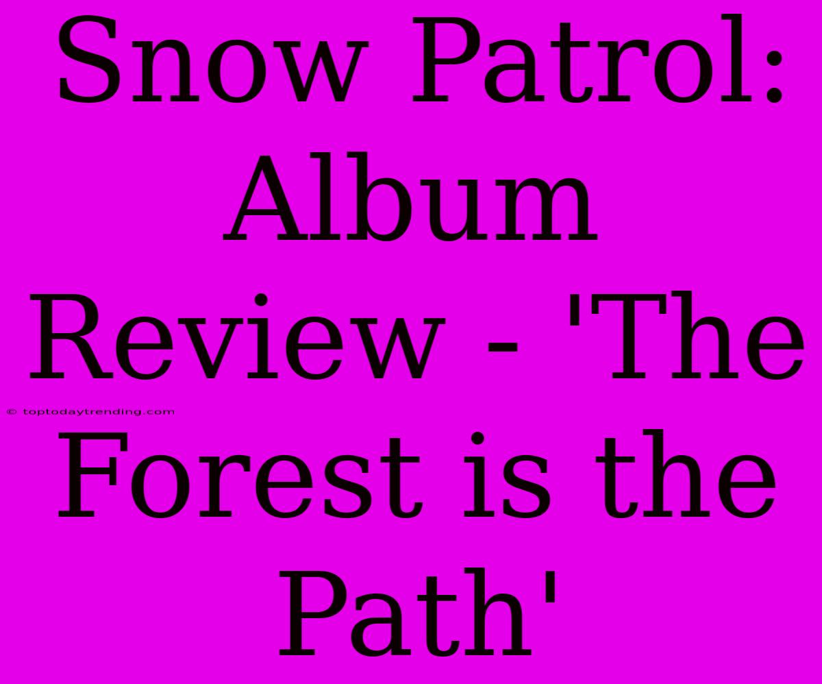 Snow Patrol:  Album Review - 'The Forest Is The Path'