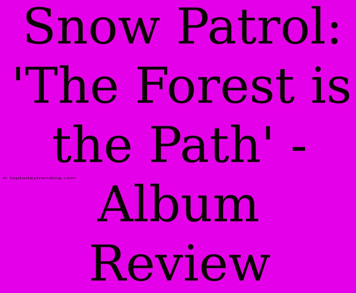 Snow Patrol:  'The Forest Is The Path' - Album Review