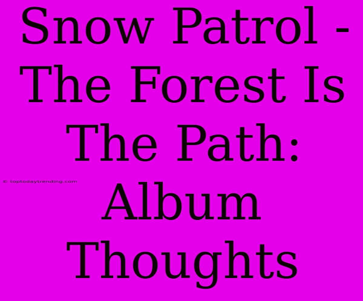 Snow Patrol - The Forest Is The Path: Album Thoughts