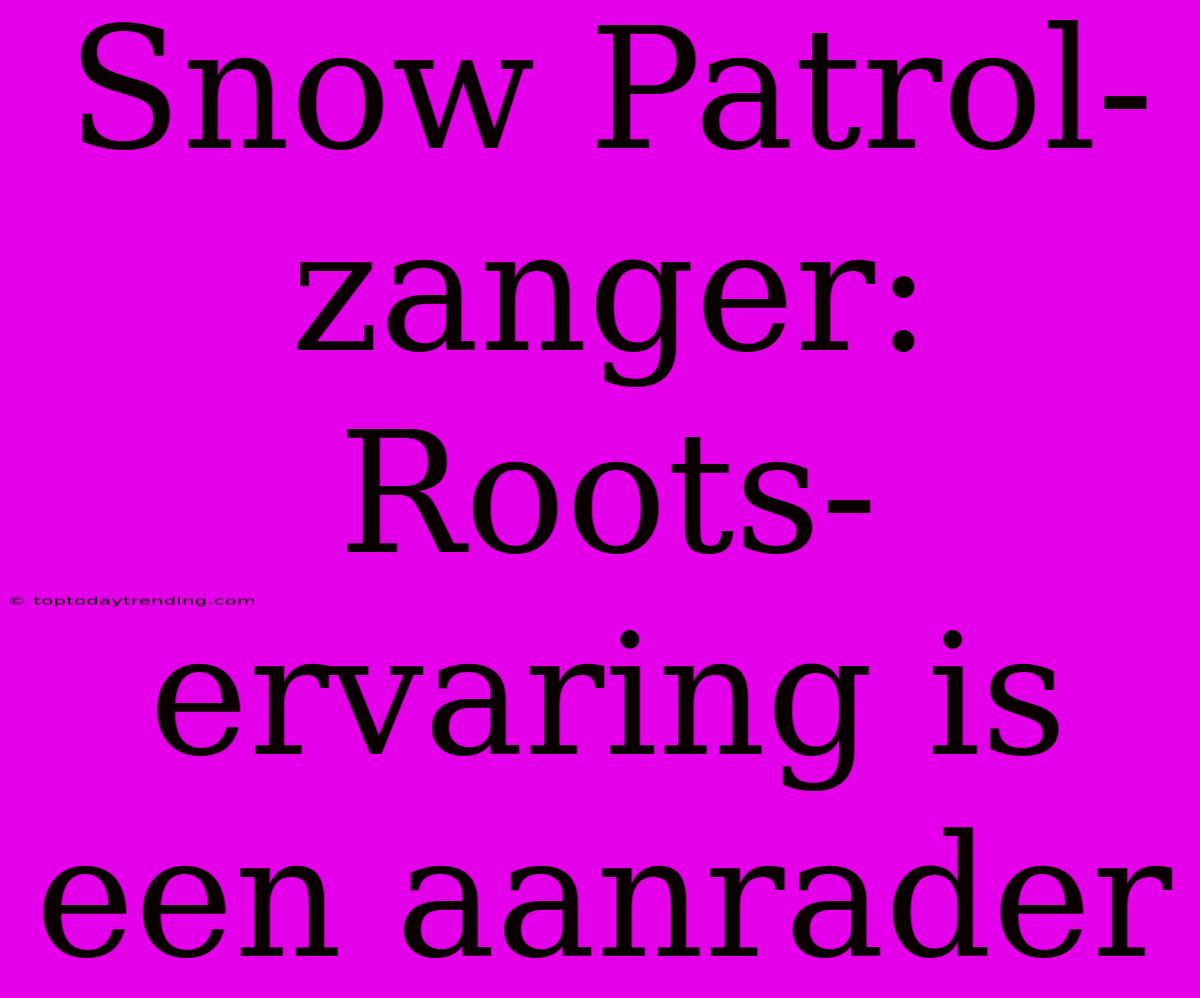 Snow Patrol-zanger: Roots-ervaring Is Een Aanrader