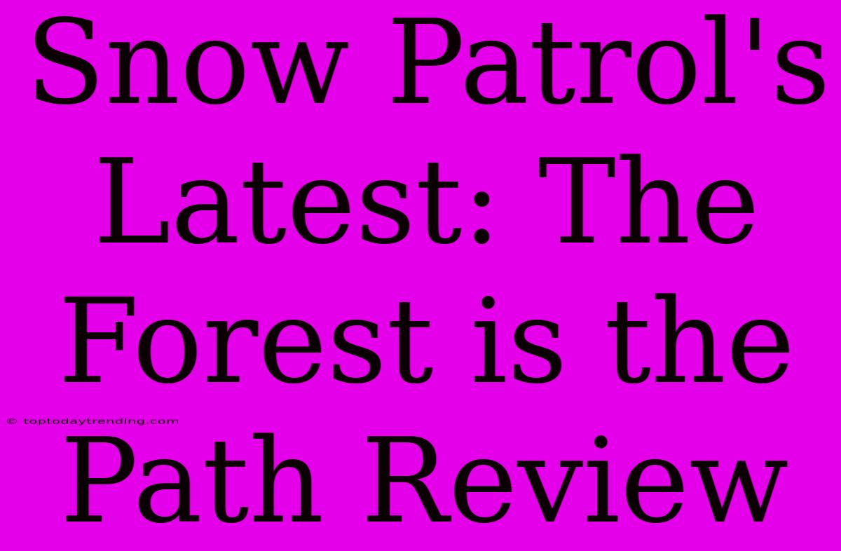 Snow Patrol's Latest: The Forest Is The Path Review