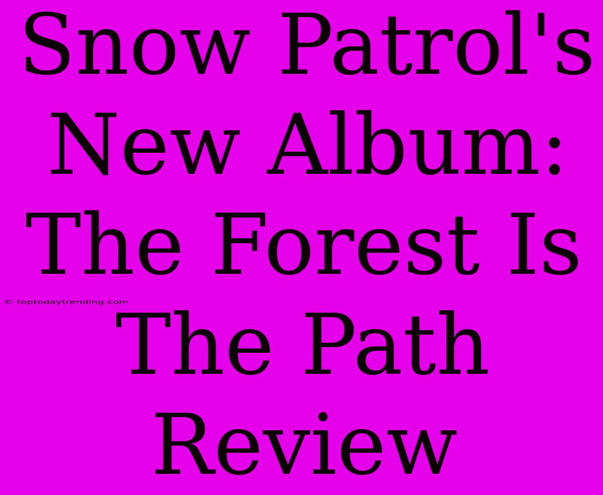 Snow Patrol's New Album: The Forest Is The Path Review