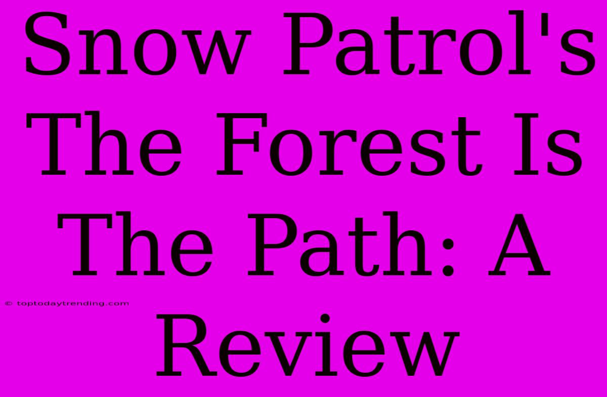 Snow Patrol's The Forest Is The Path: A Review