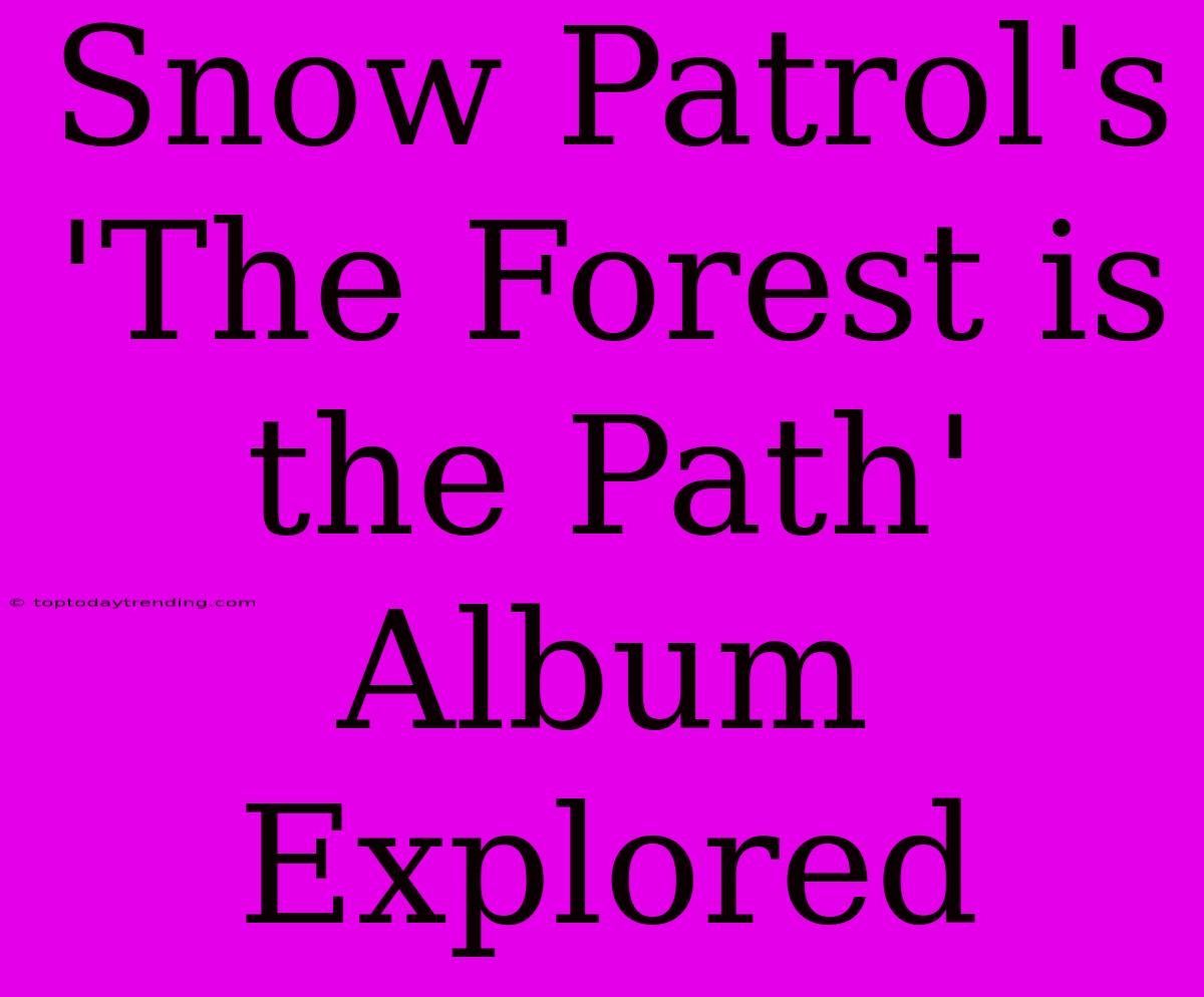 Snow Patrol's 'The Forest Is The Path' Album Explored