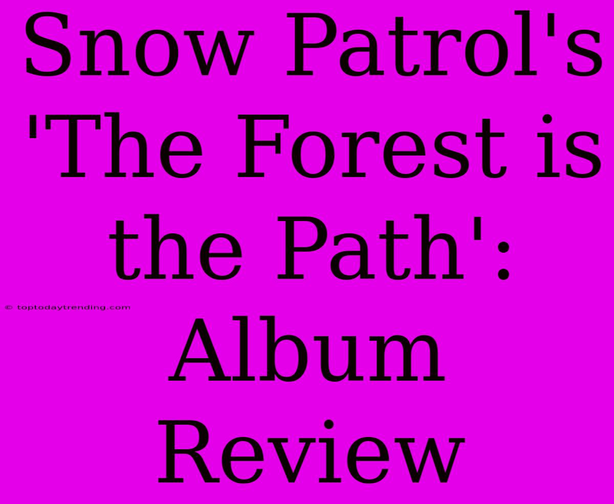 Snow Patrol's 'The Forest Is The Path': Album Review