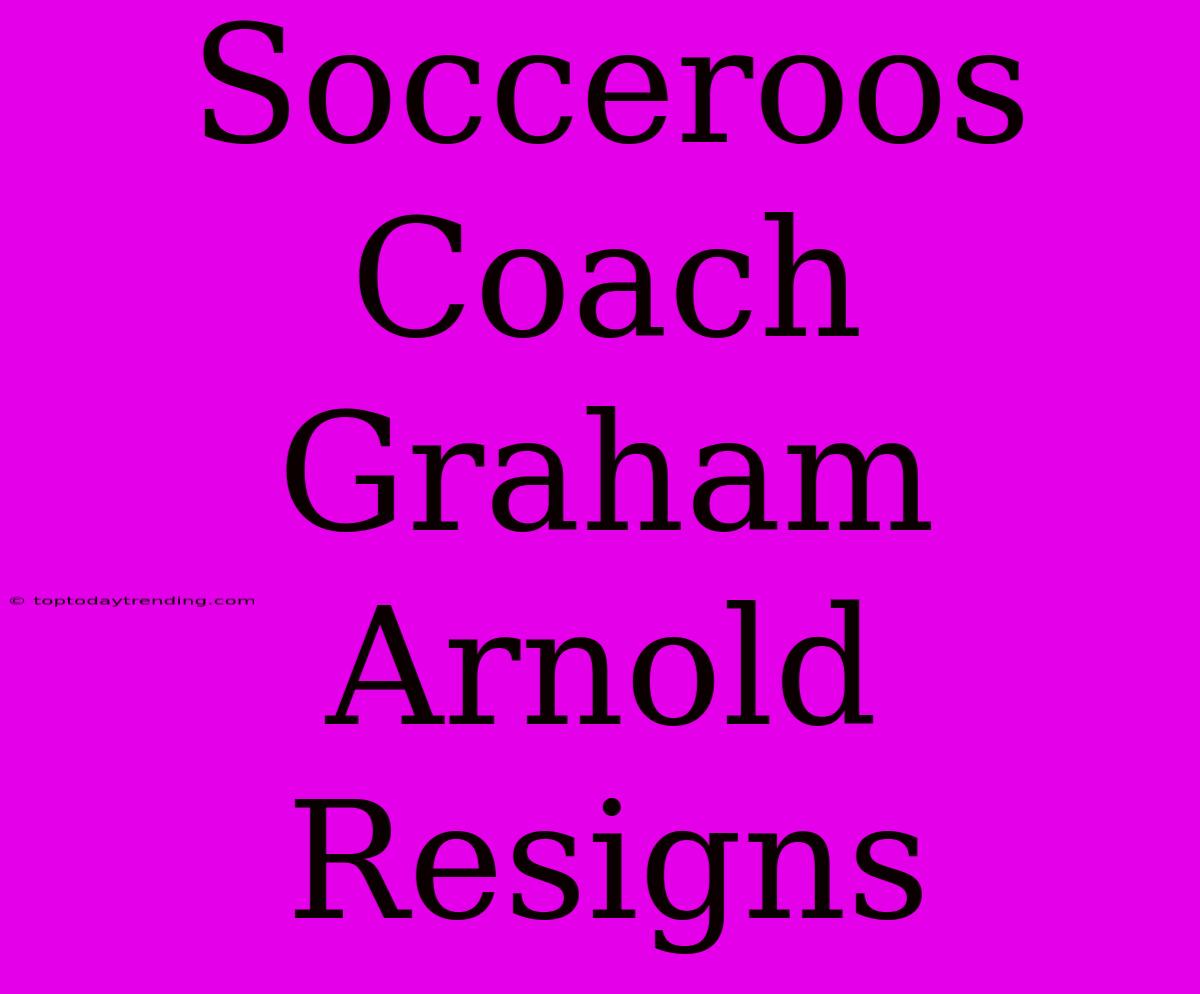 Socceroos Coach Graham Arnold Resigns