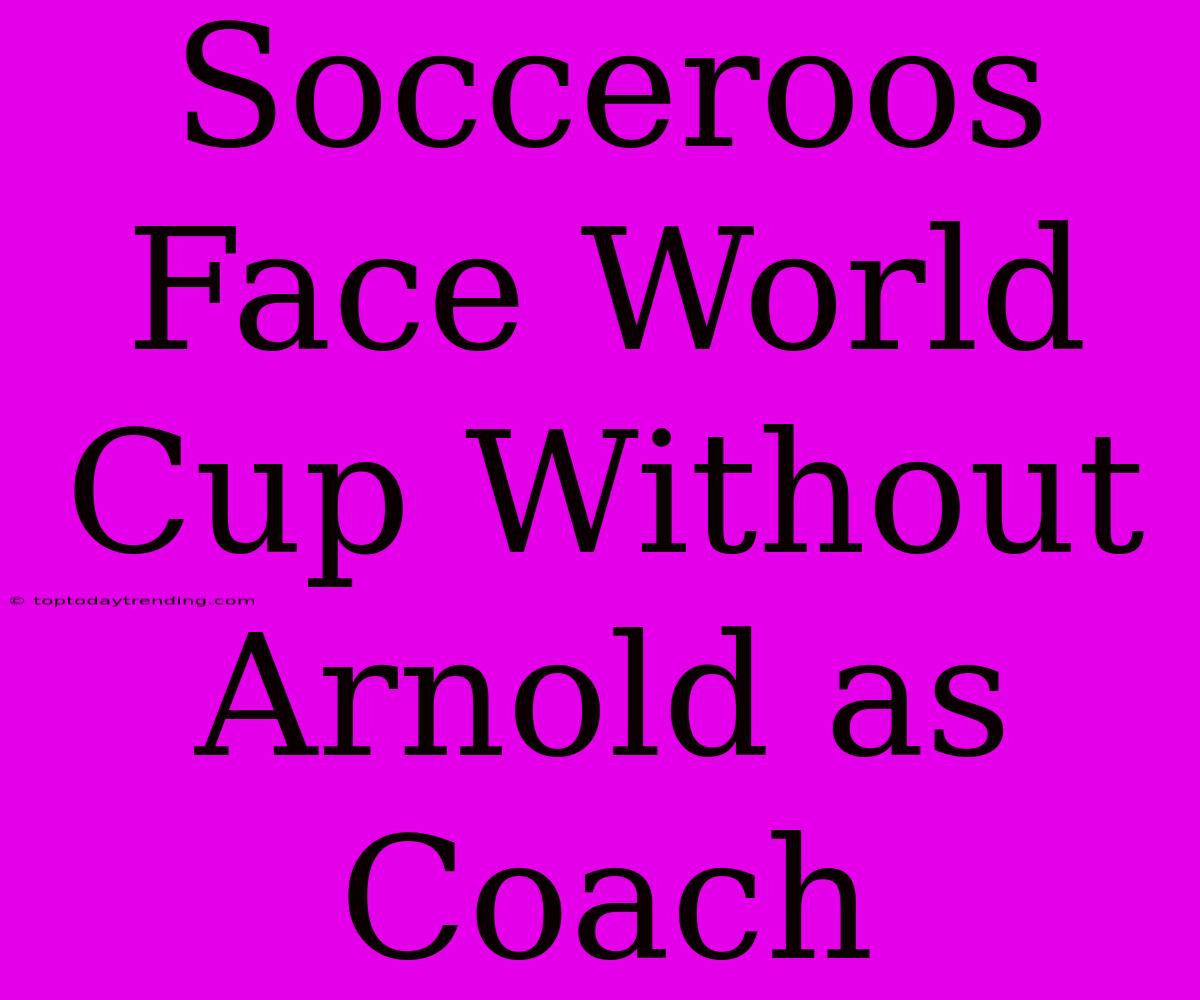 Socceroos Face World Cup Without Arnold As Coach