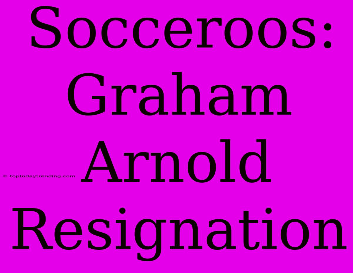 Socceroos: Graham Arnold Resignation