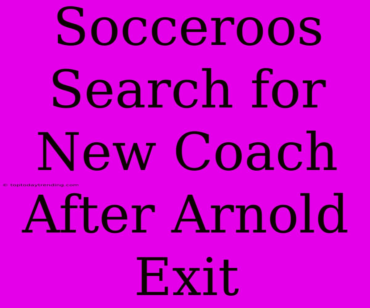 Socceroos Search For New Coach After Arnold Exit