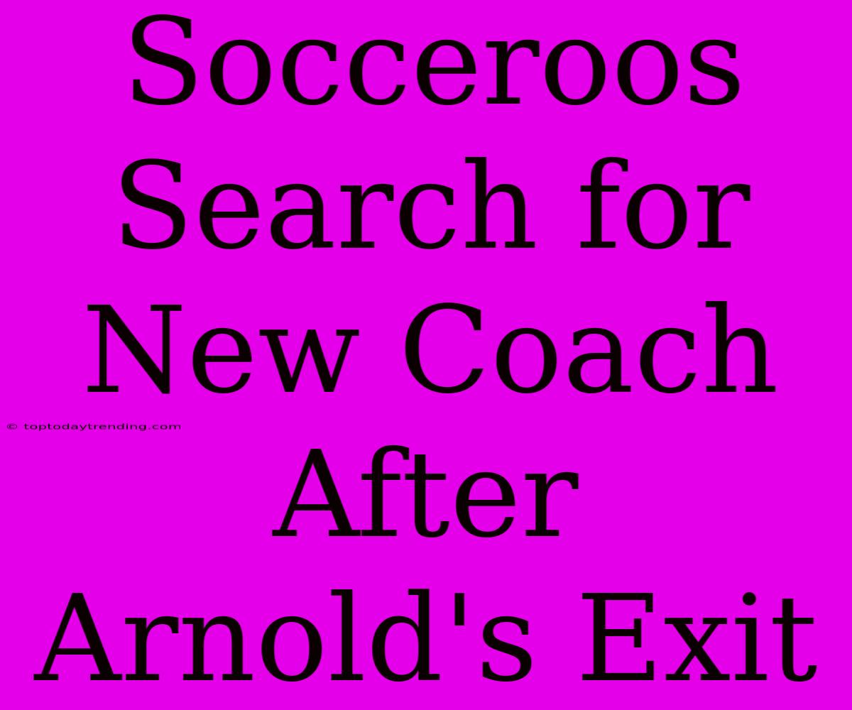 Socceroos Search For New Coach After Arnold's Exit