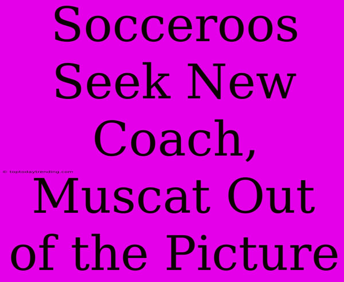 Socceroos Seek New Coach, Muscat Out Of The Picture