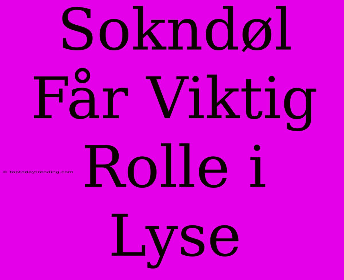 Sokndøl Får Viktig Rolle I Lyse