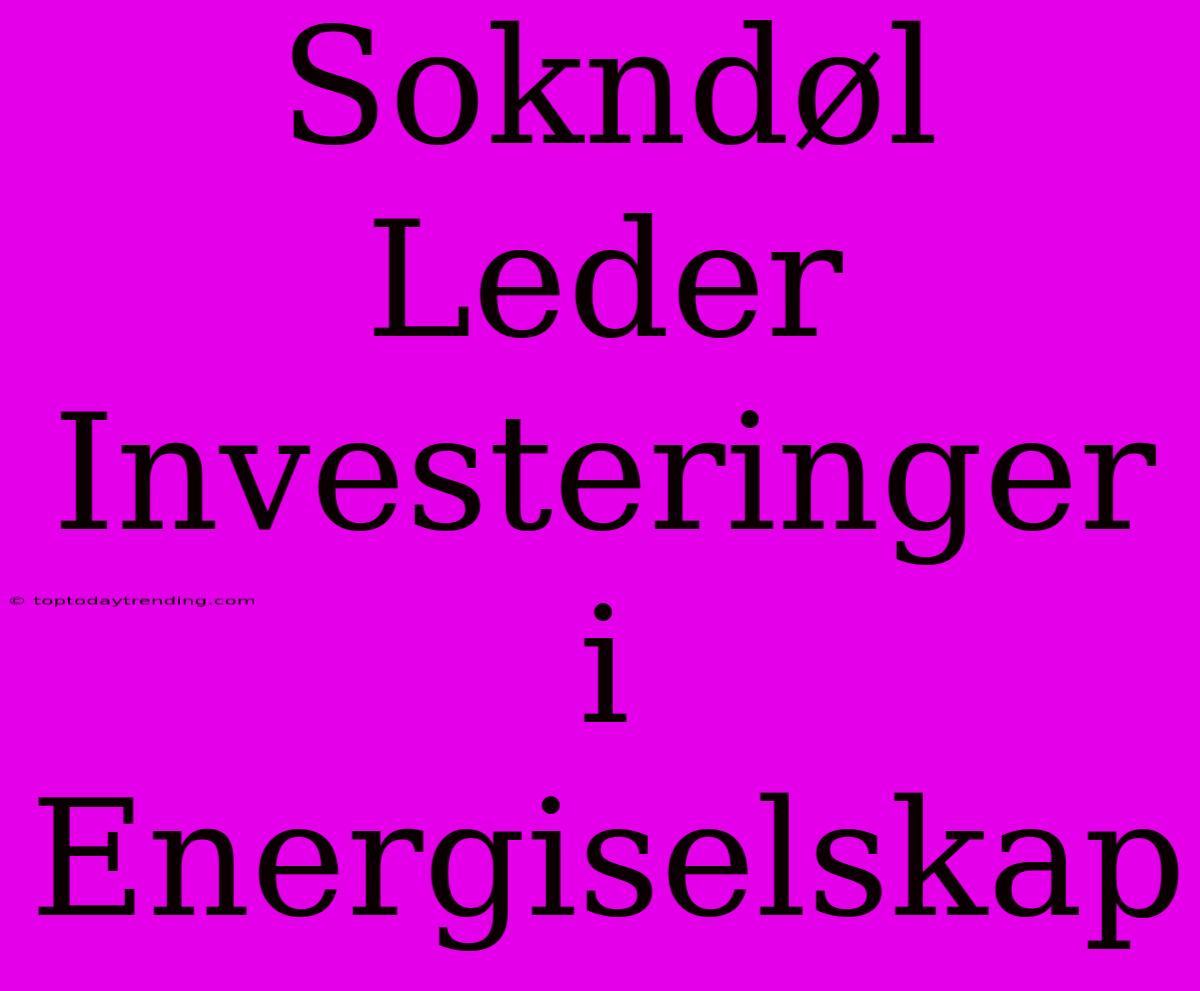 Sokndøl Leder Investeringer I Energiselskap