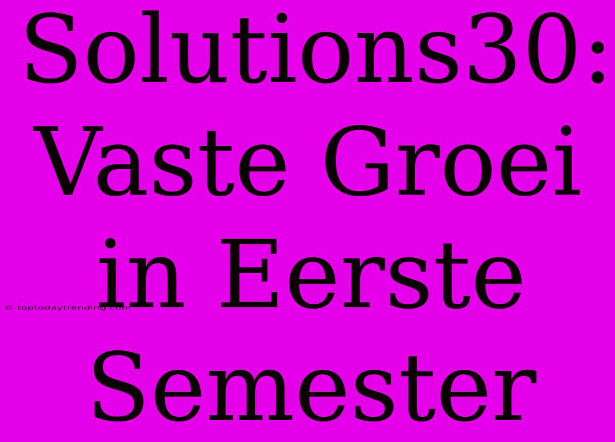 Solutions30: Vaste Groei In Eerste Semester