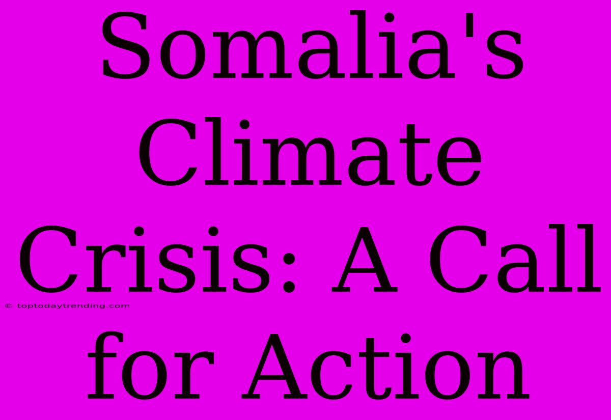 Somalia's Climate Crisis: A Call For Action