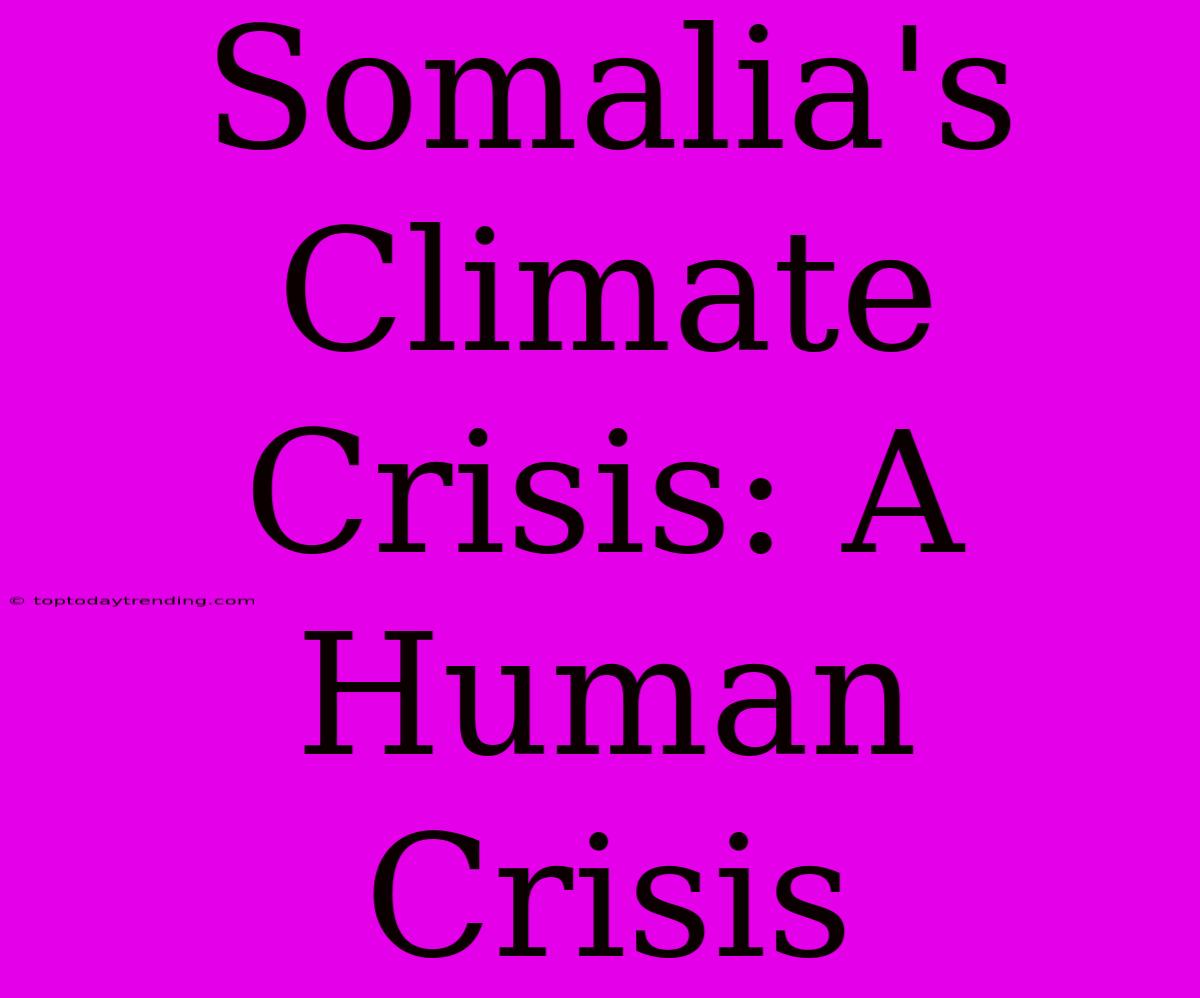 Somalia's Climate Crisis: A Human Crisis