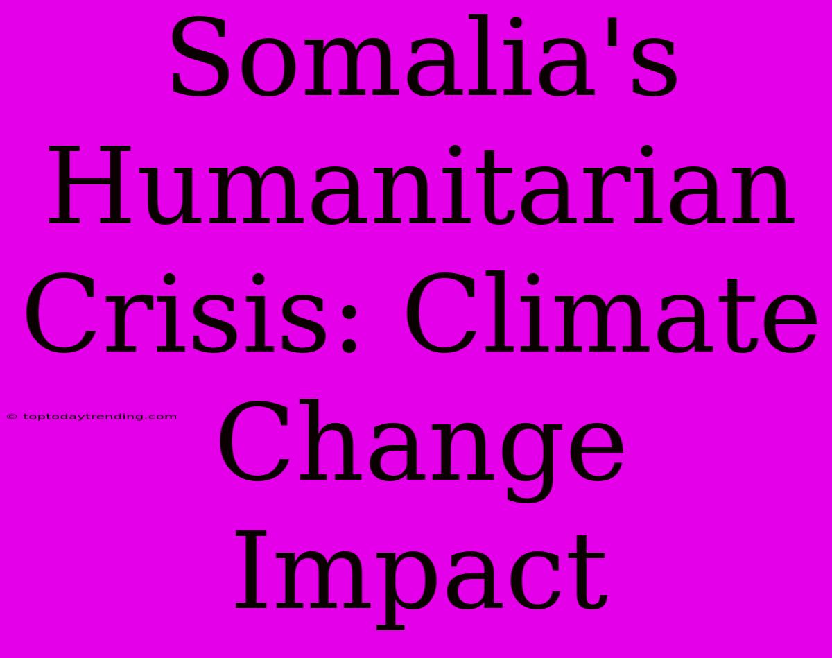 Somalia's Humanitarian Crisis: Climate Change Impact