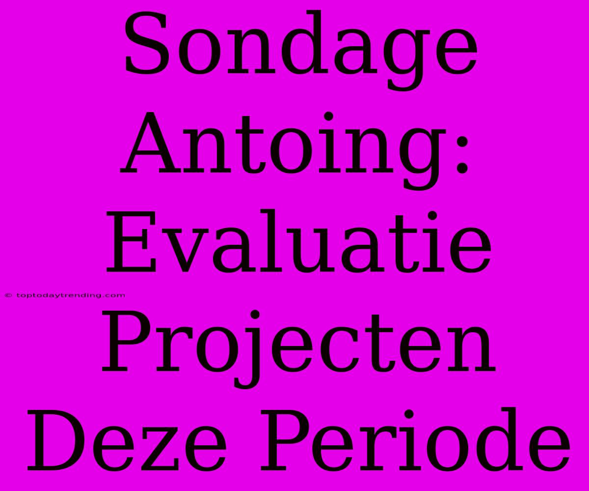 Sondage Antoing: Evaluatie Projecten Deze Periode