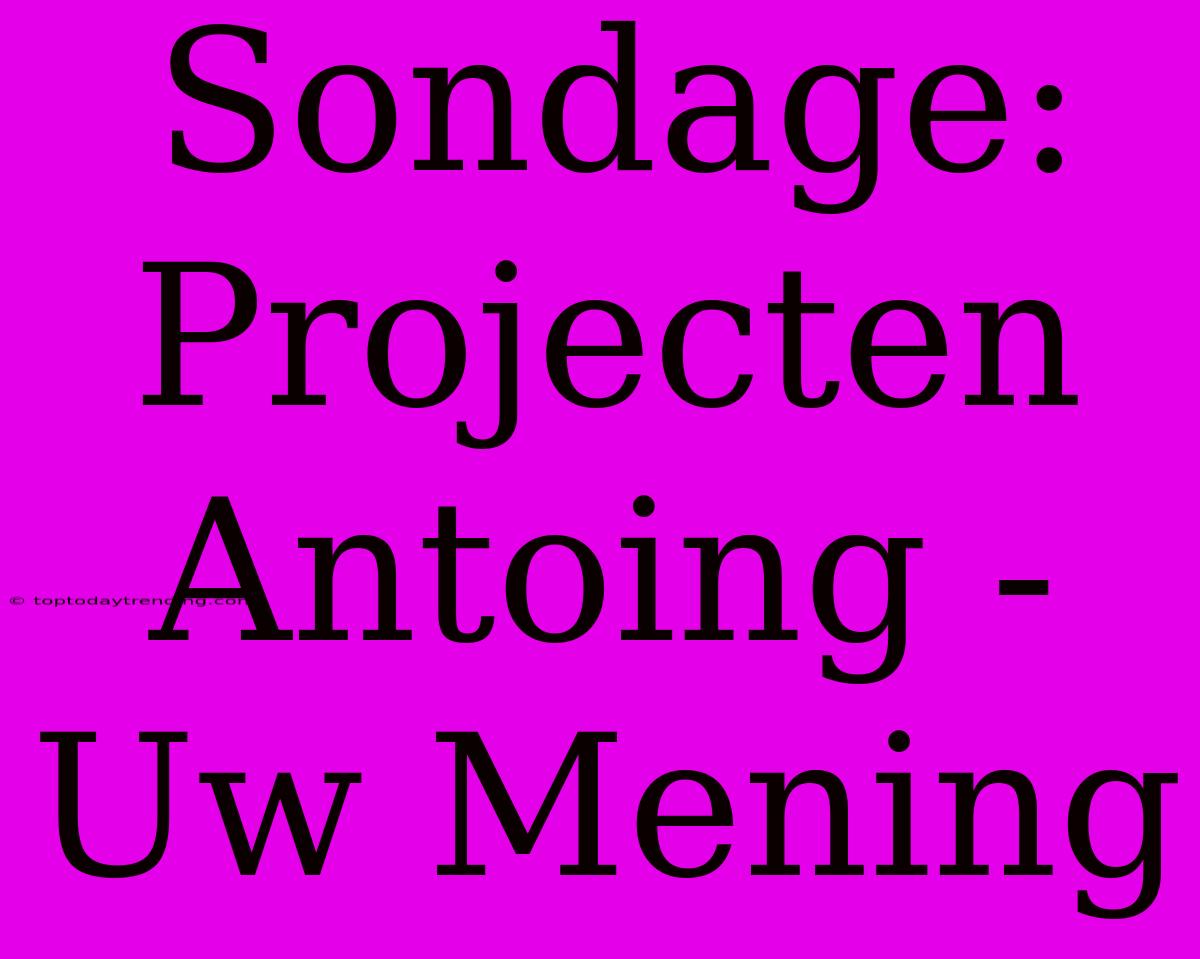 Sondage: Projecten Antoing - Uw Mening