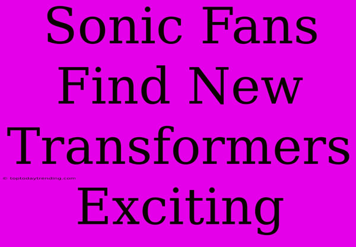 Sonic Fans Find New Transformers Exciting