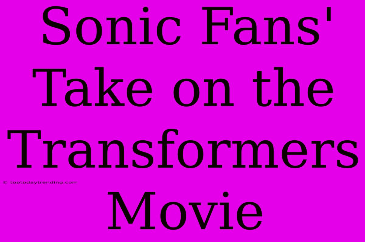 Sonic Fans' Take On The Transformers Movie