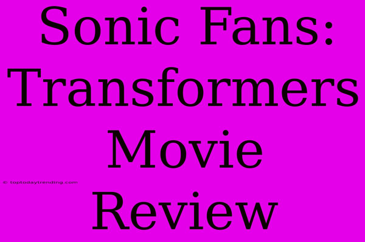 Sonic Fans: Transformers Movie Review