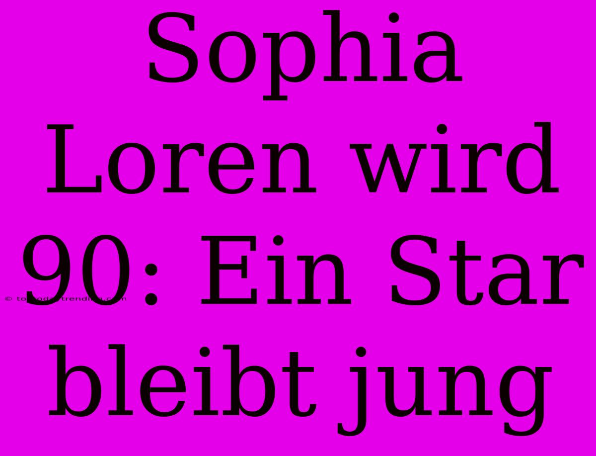 Sophia Loren Wird 90: Ein Star Bleibt Jung