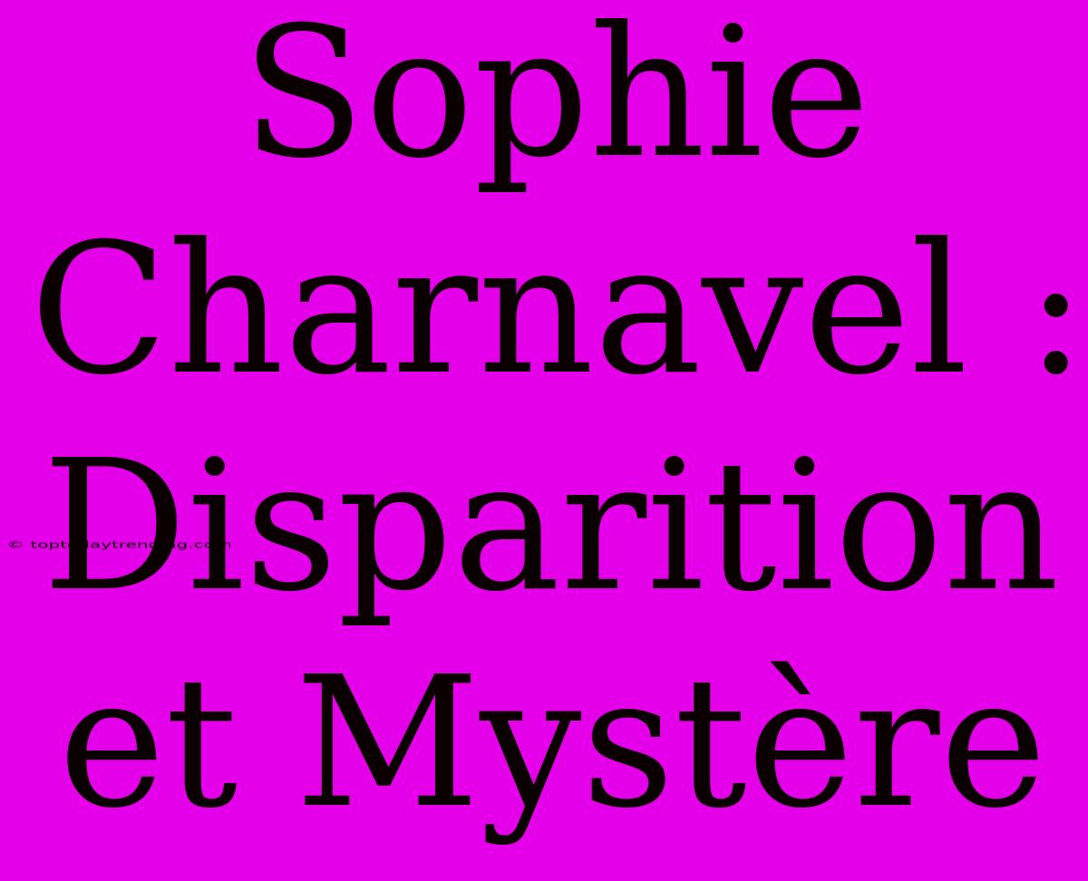 Sophie Charnavel : Disparition Et Mystère