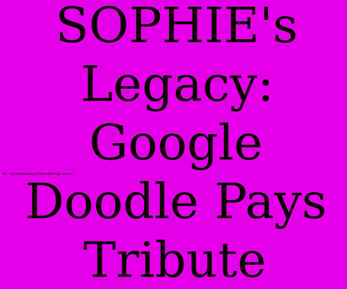 SOPHIE's Legacy: Google Doodle Pays Tribute