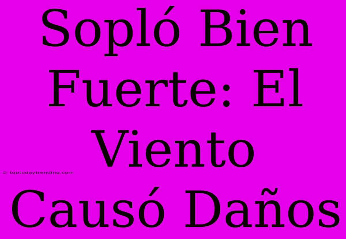 Sopló Bien Fuerte: El Viento Causó Daños